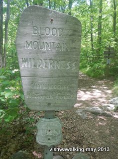 Appalachian - Blood Mountain Wilderness - sign