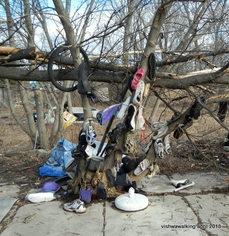 eldorado - a shoe tree as you come into town from the hht west