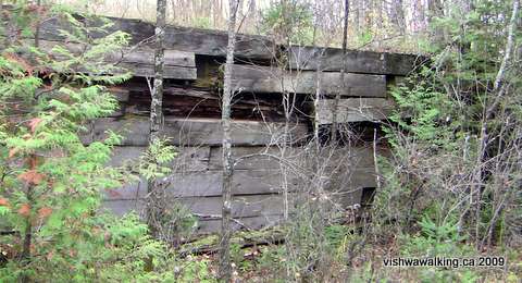Hastings heritage trail, Malone Road, wooden retaining wall.