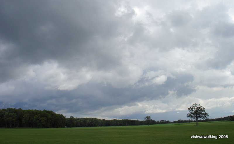 Prince Edward County, Clouds and tree, Summer, 2008