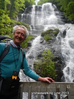 amicalola falls peter - falls in background