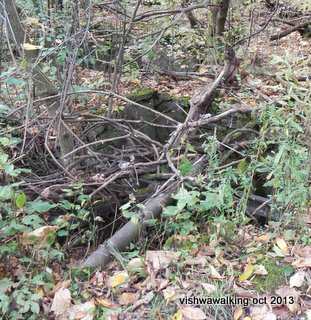 Bruce Trail, holes beside trail, near quarry