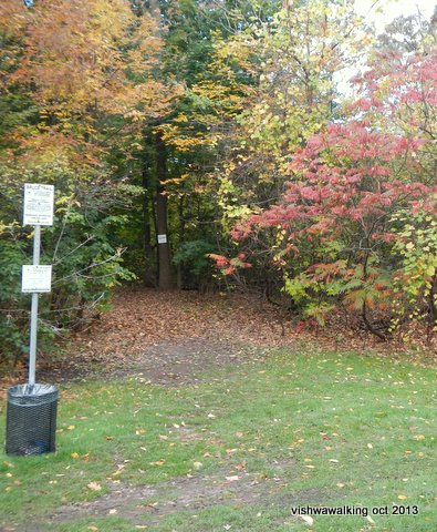 Bruce Trail at the point where it leaves the grassy Queenston Heights park and enters the woods
