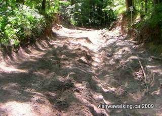 Ganaraska Trail, 10th line just after turning off Walker Road