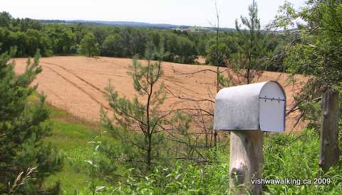 Ganaraska Trail, Walker Road, looking south just east of Thomstown