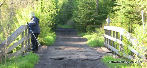 Hastings heritage Trail, bridge north of Marmora Station