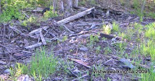 HHT, Marmora Station, burned remains of station