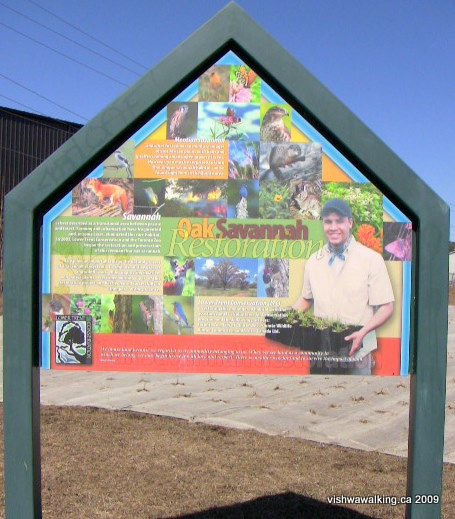 sign, oak savannah restoration on Jack Lange Memorial Walkway