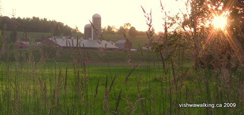 Trail of two lakes, farm on west side of trail, north of Moira road.