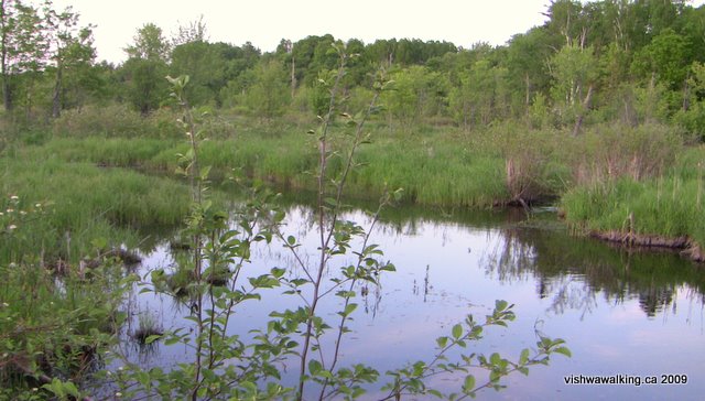 Trail of Two Lakes, Rawdon Creek north of McCumber Road