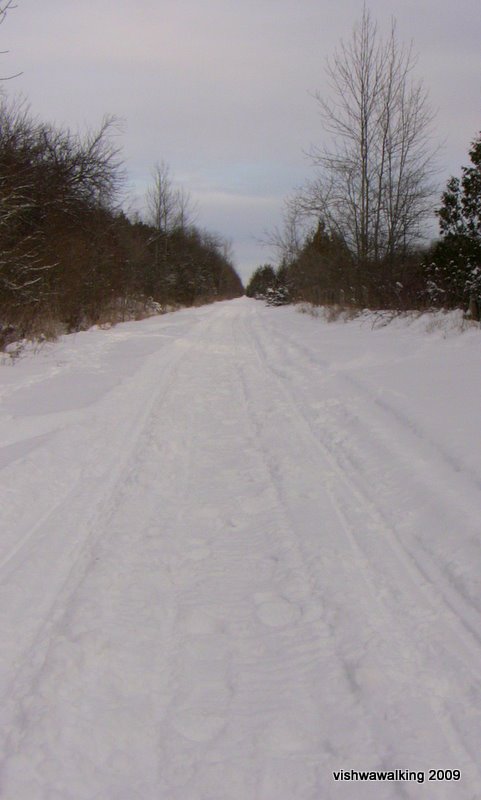 murray canal, straight!