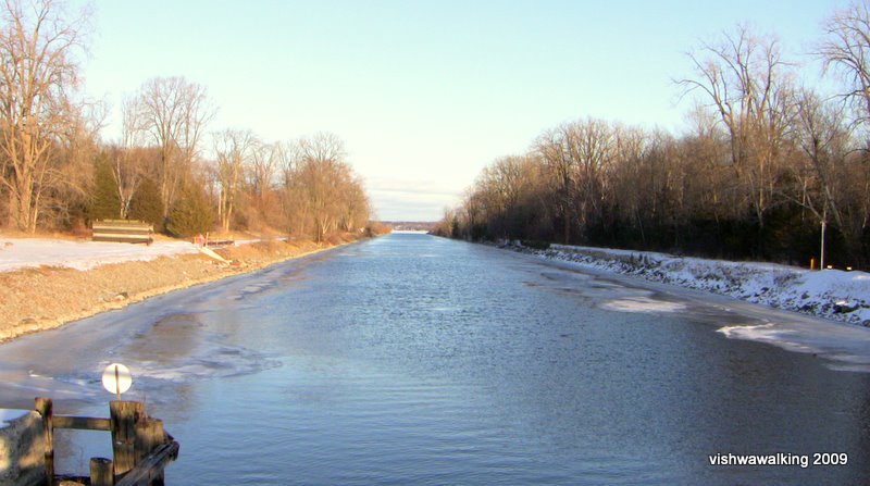 murray canal, west end -- straight again!