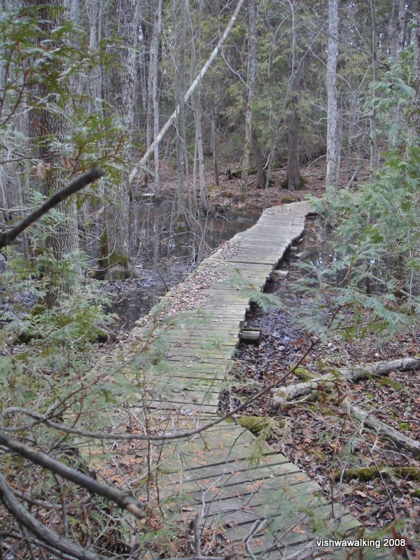 Frink - Cedar Creek boardwalk