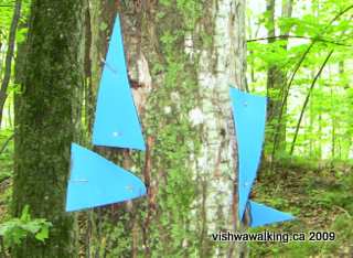 Gould lake, signs at the end of east trail
