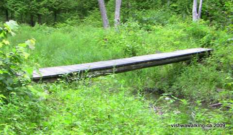 Gould Lake Conservation Area, Tom Dixon trail, bridge, July 2009
