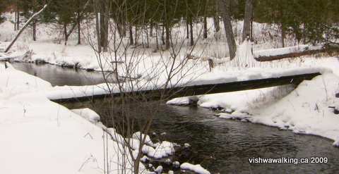 Gould Lake Conservation Area, Tom Dixon trail, bridge, January 2009