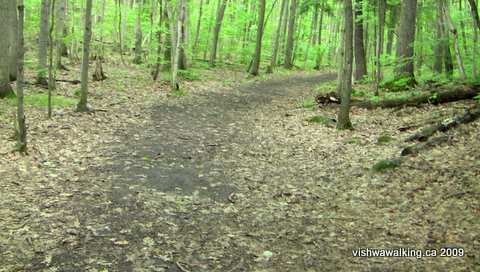 Gould Lake, Wagon Trail