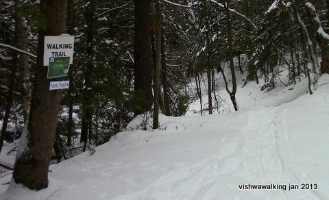 O'Hara-Fern Trail start