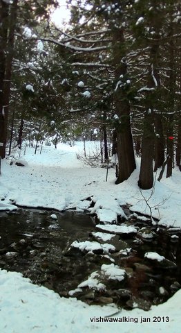 ohara - l-wishart-trail - creek 1st crossing