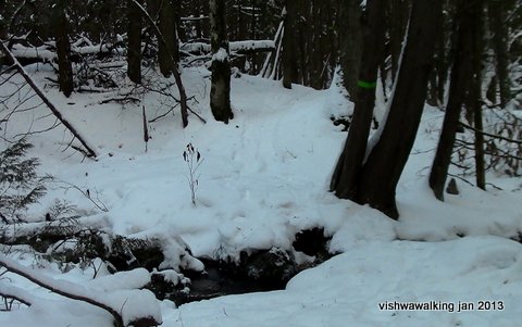 O'Hara Mill-little creek near start