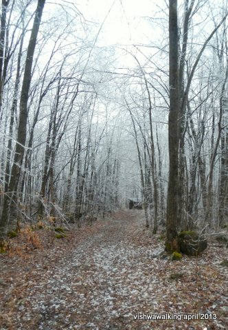 vanderwater green trail just before lean-to
