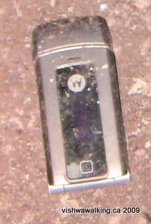 Lakefield cement plant, lost cell phone