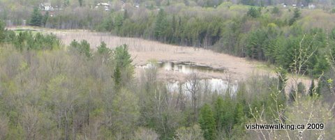 Marmora, Naylor's Marshland