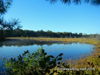 algonquin - berm lake looking south