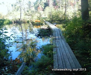 Algonquin: first bordwalk on Berm Lake loop