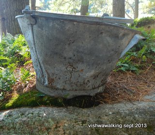 algonquin - bucholtz lake campsite - bucket