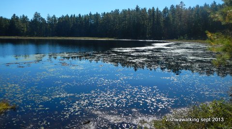 algonquin-bucholtz lake looking south