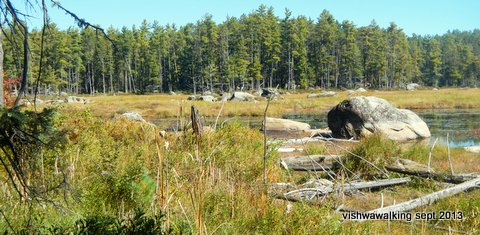 algonquin-bucholtz lake looking north to the boulder garden