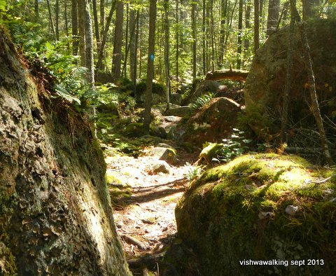 algonquin - bucholtz lake - north-east side - the path is a channel through big boulders