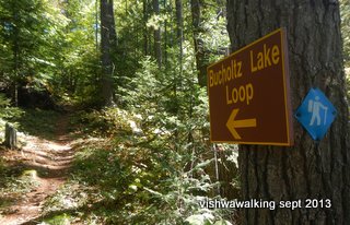 algonquin - junction at east end of Johnston Lake