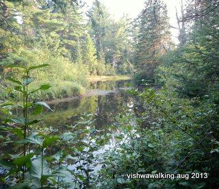 algonquin, highland trail, madawaska south-east of trail