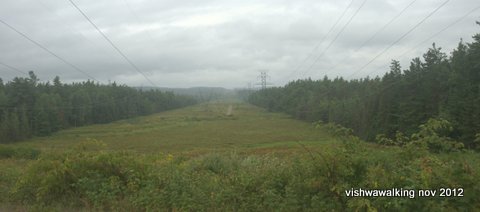 algonquin-mckaskill-hydro-lines