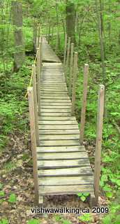 Gould Lake Conservation Area, boardwalk after Hill Junction