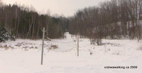 Gould lake Conservation area, volleyball net near barn, January 23, 2009