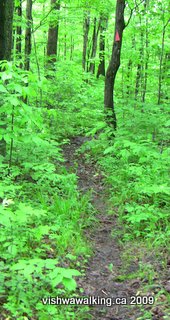 rideau, path north of fields north of Railton Road