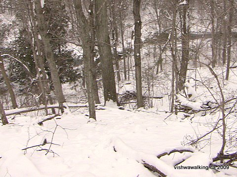 north of Freeman Road, looking down escarpment incline