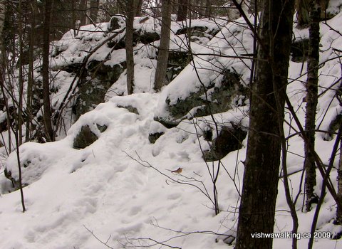 knowlton lake, steep climb