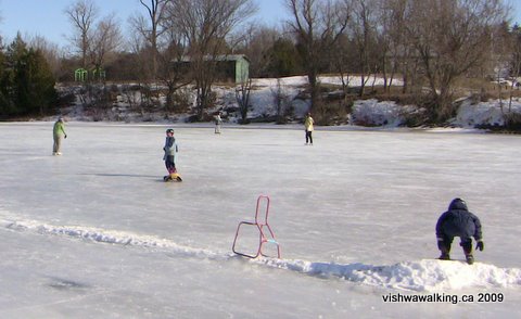 sydenham lake, skating