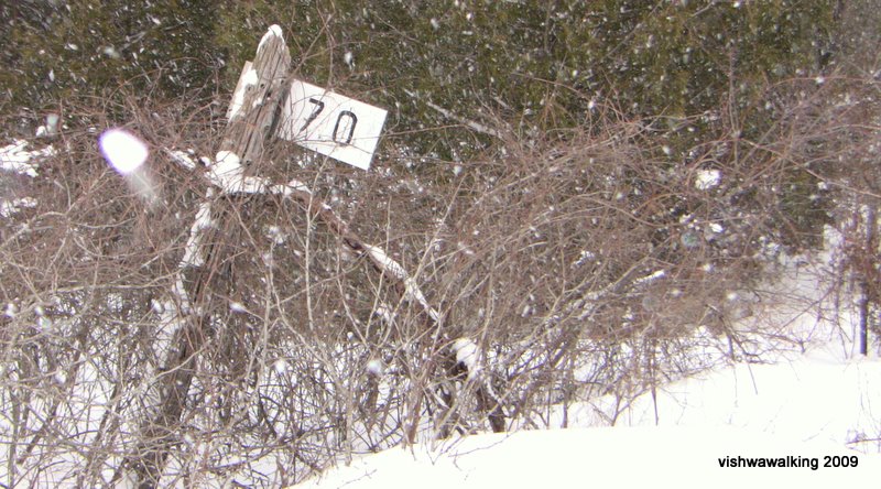 rr sign