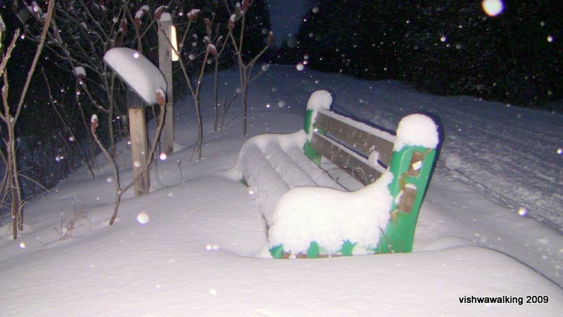 Drag Lake bench