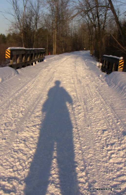 trans cam-long shadows