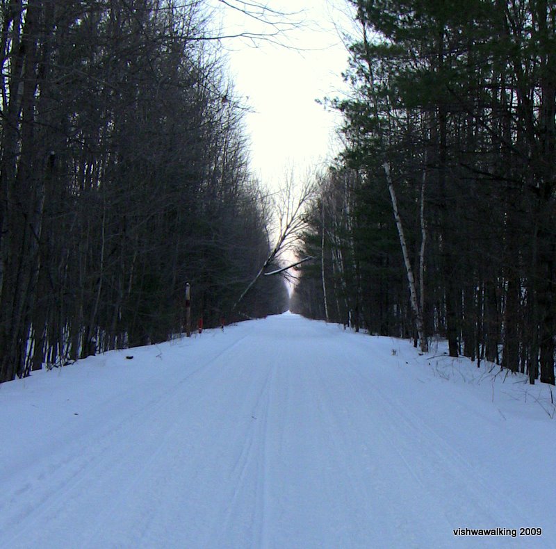 trans can straight trail south of sulphide