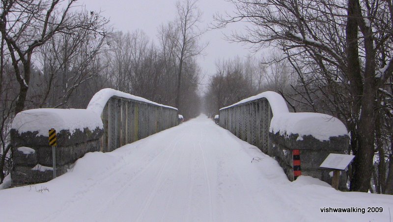 trans can tweed bridge