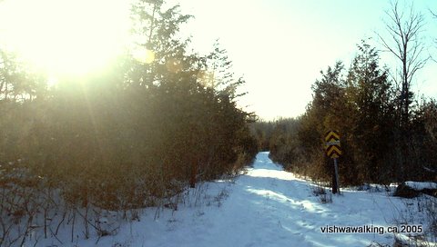 maple sugar road looking west